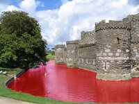 redmoat.jpg