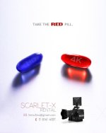 scarletad.jpg