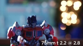 75mm_2.jpg