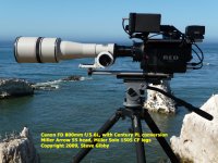 Canon FD 800 web, 2.jpg