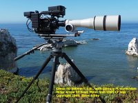 Canon FD 800 web, 1.jpg