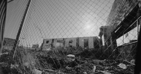 A001_C013_0128LQ.0000000.jpg