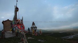IMG_1512.jpg