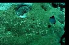 coral vandalism.jpg