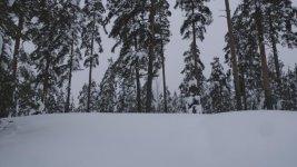 REDcolor-gamma-FLUT-1.jpg
