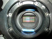 Photothèque - 13291.jpg