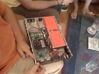 IMG_1193.jpg