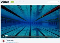 Pool-shot-no-swimmers488.jpg