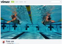 pool-shot-with-swimmers488.jpg