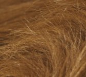 fur noise test.jpg