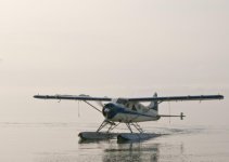 Halo Bay plane 7707.jpg