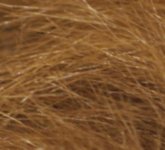 fur noise test 400%.jpg