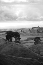 IMG_1526_Hobbiton-1.jpg