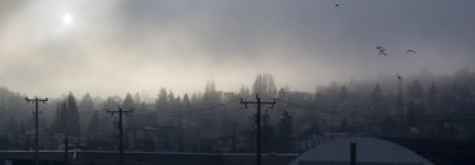 n93000002_30002984_1217.jpg