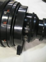 Iris scale.jpg