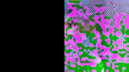 magnified.jpg