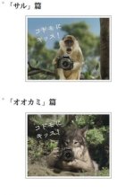 Canon Spot.jpg