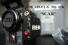 SCAR LOWRES.jpg