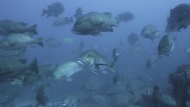 PARGO-ORIGINAL-RAW.0000611.jpg