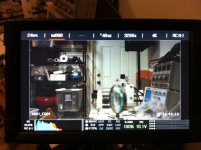 red scarlet.jpg