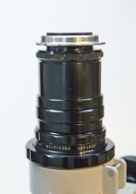 _MG_0008.jpg