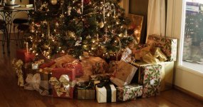 christmas-tree.jpg