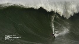 Andrew Cotton web.jpg