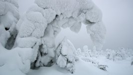 Sample-2-frame.jpg