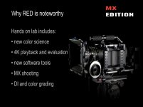 Why Red.jpg