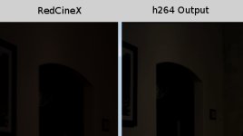 RedCineX_Versus_Output.jpg