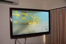 DSC_2447.jpg