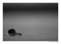 almost_there____by_cweeks.jpg