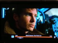 tv harrison.jpg