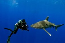 HH DEEP EPIC Oceanic WT - 1.jpg