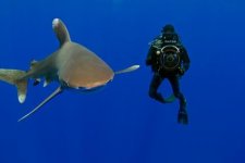HH DEEP EPIC Oceanic WT - 3.jpg