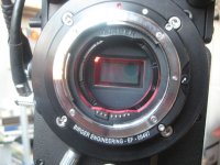 IMG_5828.jpg
