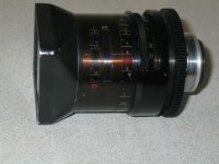 anam . square F = 50 - body.JPG