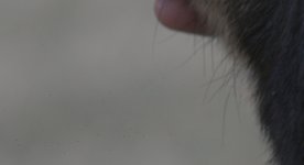 Full Res Crop 1.jpg