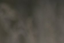 Full Res Crop 2.jpg