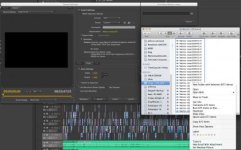 PrPro-Encode-direct.jpg