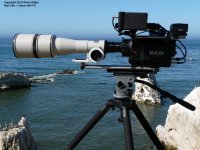 _Canon-800-web.jpg