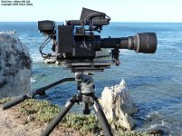 Nikon-400.jpg