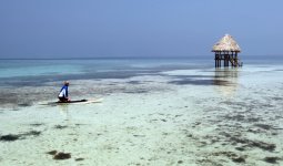 Gibby-Belize-3-RU.jpg