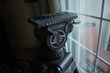 IMG_5276.jpg