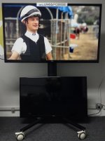 65 inch SEIKI on top 50 inch below.jpg