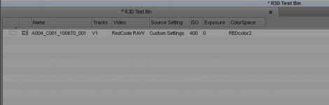 R3D bin settings.jpg