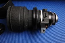 DSC_5406sm.jpg