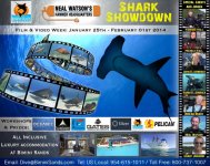 SHARK SHOWDOWN.jpg SHARK SHOWDOWN.jpg