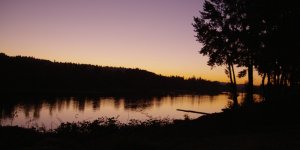 ThisIsHowWeRollInOregon.0000489.jpg