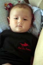 Sharky.jpg